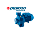 Pedrollo